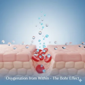 مکانیزم اکسیژن‌رسانی و شفافیت پوست در پلاژن تراپی