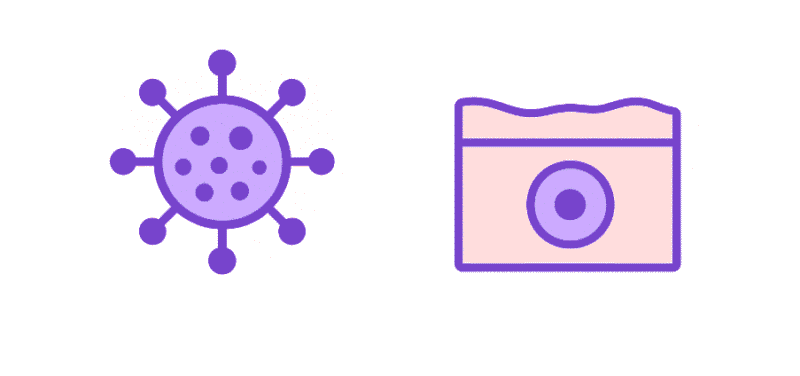 اینفوگرافیک ساده علمی برای توضیح ویروس HPV و نحوه عملکرد آن. درمان HPV در مشهد