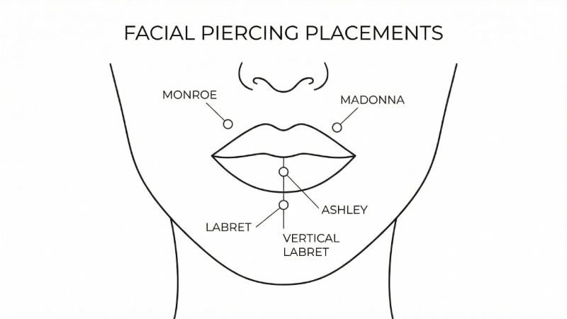 انواع مدل‌های پیرسینگ لب: اشلی، لبرت، مدونا و مونرو
