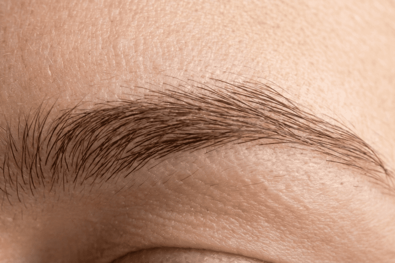 خواب طبیعی ابرو و تراکم بالا با تکنیک میکروگرافت در مشهد